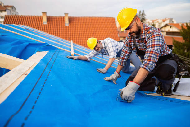Roof Gutter Cleaning in Canutillo, TX